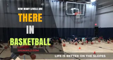 Basketball's Competitive Levels: How Many Tiers?