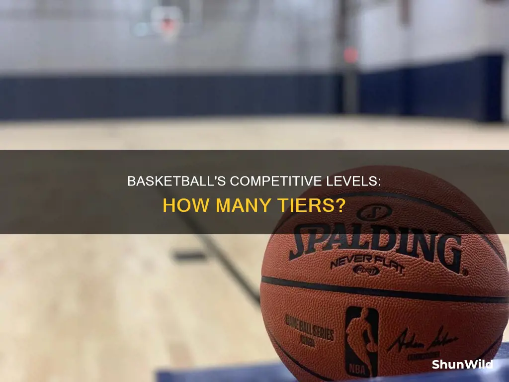 how many levels are there in basketball