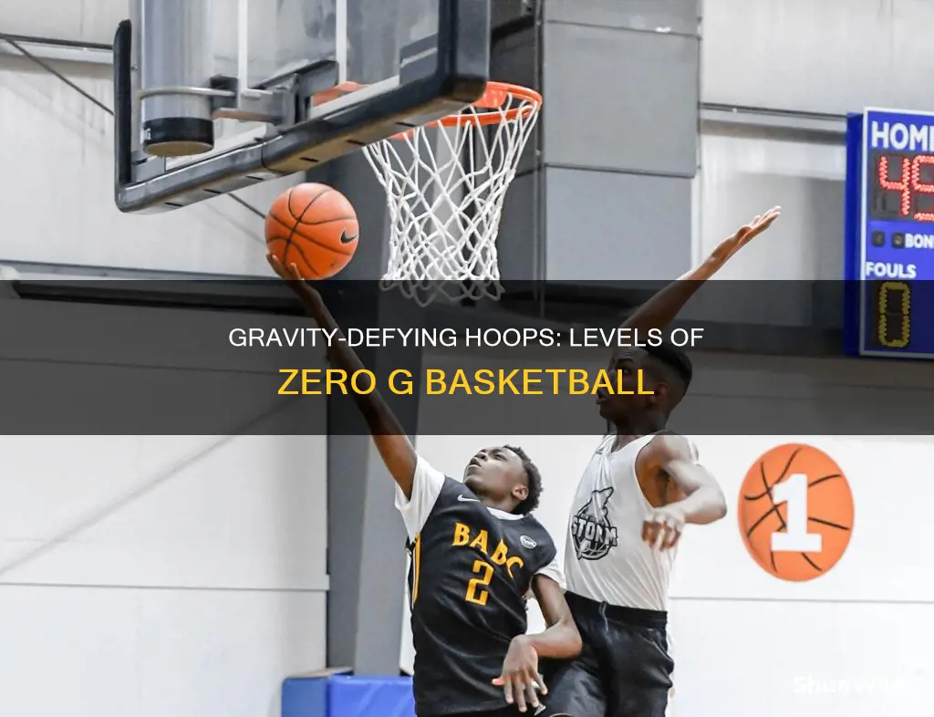 how many levels in zero g basketball