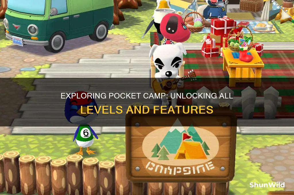 how many levels pocket camp