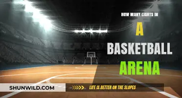Lighting Up the Basketball Arena: How Many Lights Shine Bright?