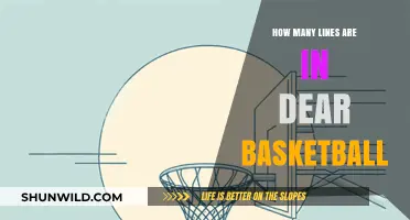 Poetic Lines of "Dear Basketball