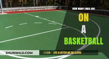 The Intriguing Lines of Basketball: Rules and Dimensions