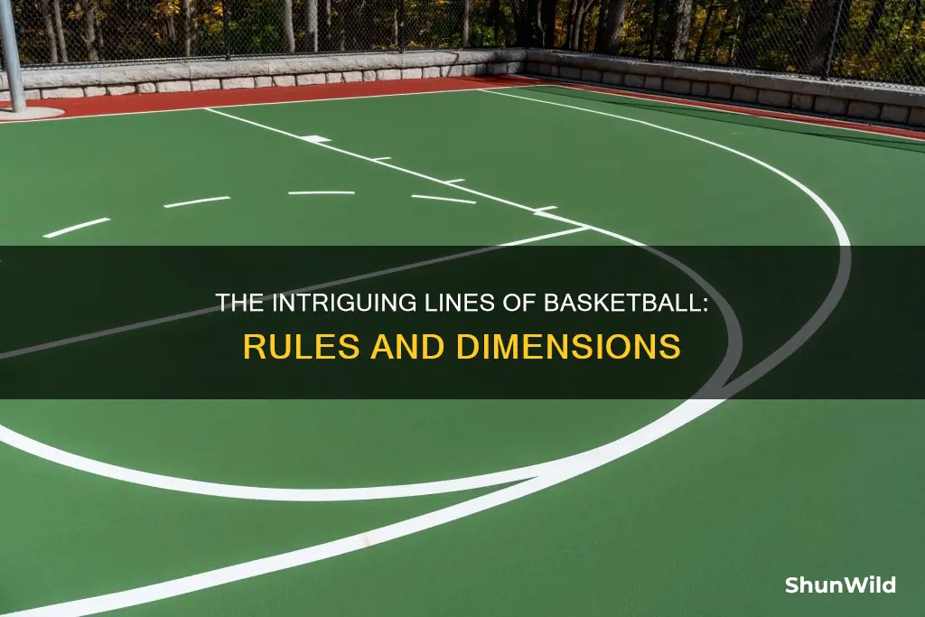 how many lines are on a basketball