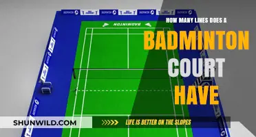 Badminton Court Lines: How Many?