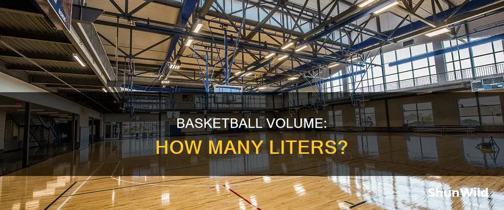 how many liters in a basketball