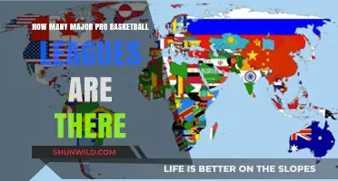 The World of Professional Basketball: How Many Leagues?