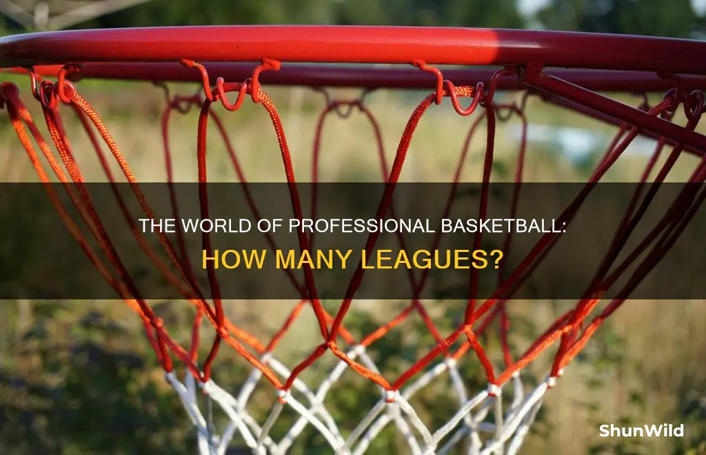 how many major pro basketball leagues are there