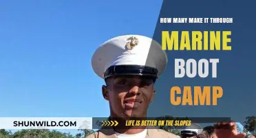 Surviving Marine Boot Camp: How Many Recruits Make It Through?