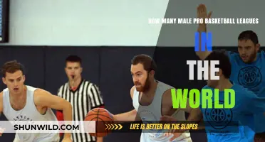Exploring the World's Pro Basketball Leagues for Men