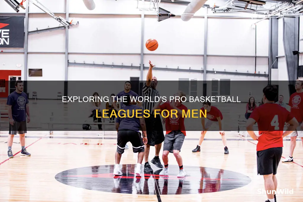 how many male pro basketball leagues in the world