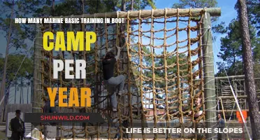 Annual Marine Boot Camp Cycles: How Many Basic Trainings Per Year?