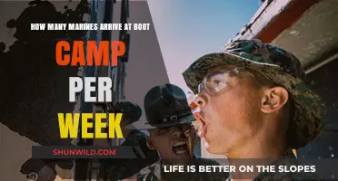 Weekly Marine Boot Camp Arrivals: Understanding Recruit Intake Numbers