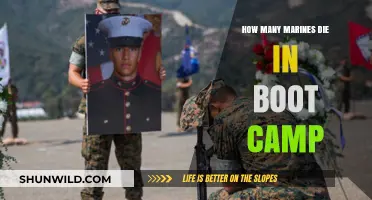 Marines' Boot Camp Deaths: Uncovering the Reality of Training Fatalities