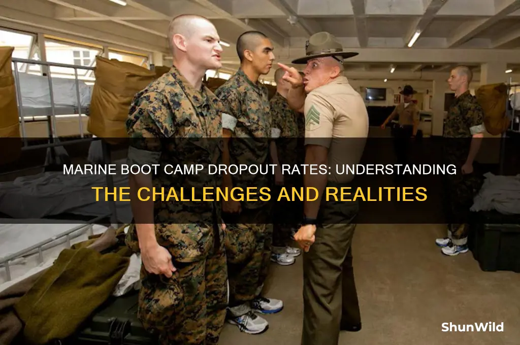 how many marines drop out of boot camp