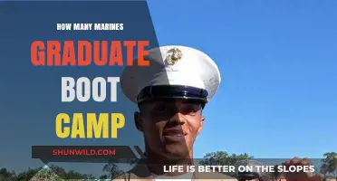 Marine Boot Camp Graduation Numbers: How Many Complete the Challenge?