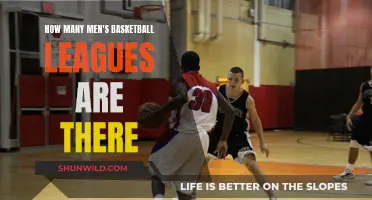 The Extent of Men's Basketball Leagues Globally