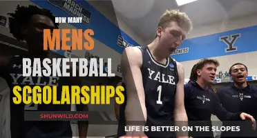 Unlocking Basketball Dreams: Scholarships for Men's Teams