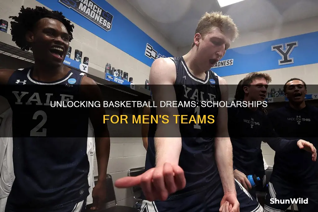 how many mens basketball scgolarships