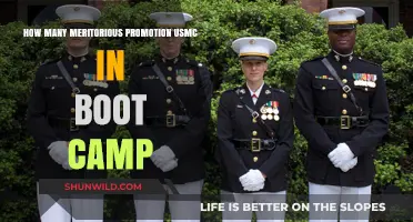 USMC Meritorious Promotions: How Many Are Awarded in Boot Camp?