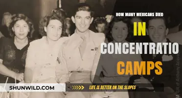 Mexican Victims in Concentration Camps: Uncovering a Hidden Tragedy