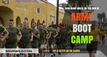 Army Boot Camp Running: Miles Covered in Basic Training