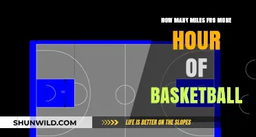 Burning Miles on the Basketball Court