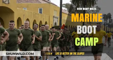 Marine Boot Camp Mileage: Unveiling the Physical Demands of Recruit Training