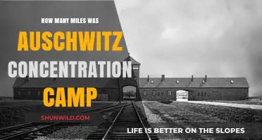 Auschwitz Concentration Camp: Uncovering the Distance of Its Dark Legacy