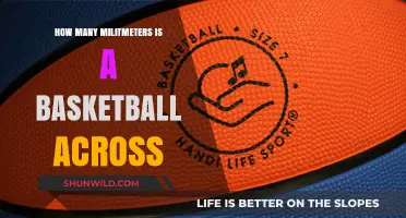 Diameter of a Basketball in Millimeters