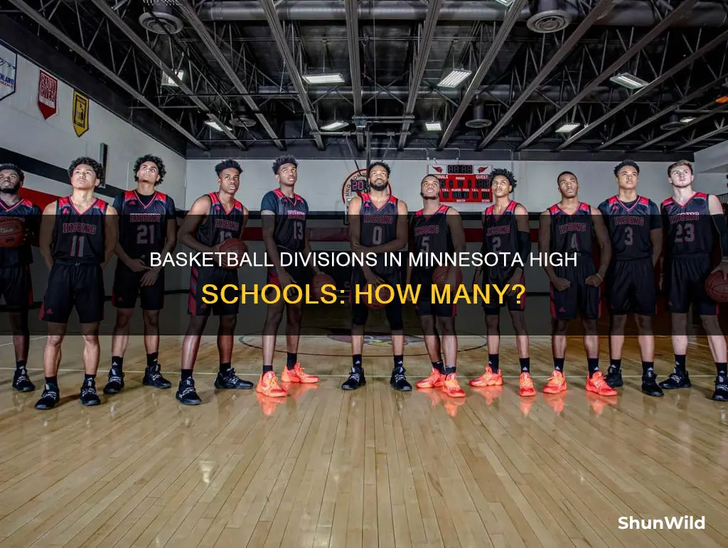 how many minnesota high school basketball divisions