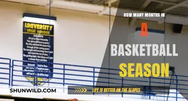 Basketball Season: How Many Months of Action?