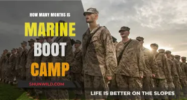 Marine Boot Camp Duration: How Many Months of Intense Training?