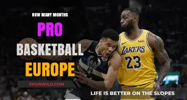 Exploring Pro Basketball Contracts in Europe