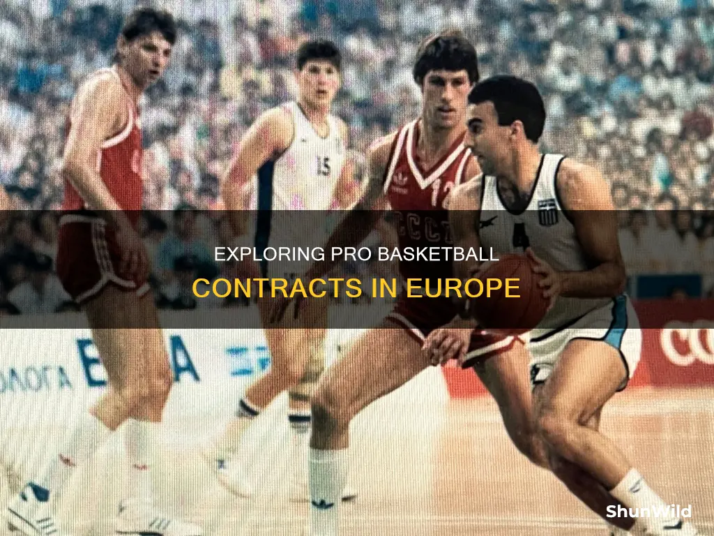 how many months pro basketball europe