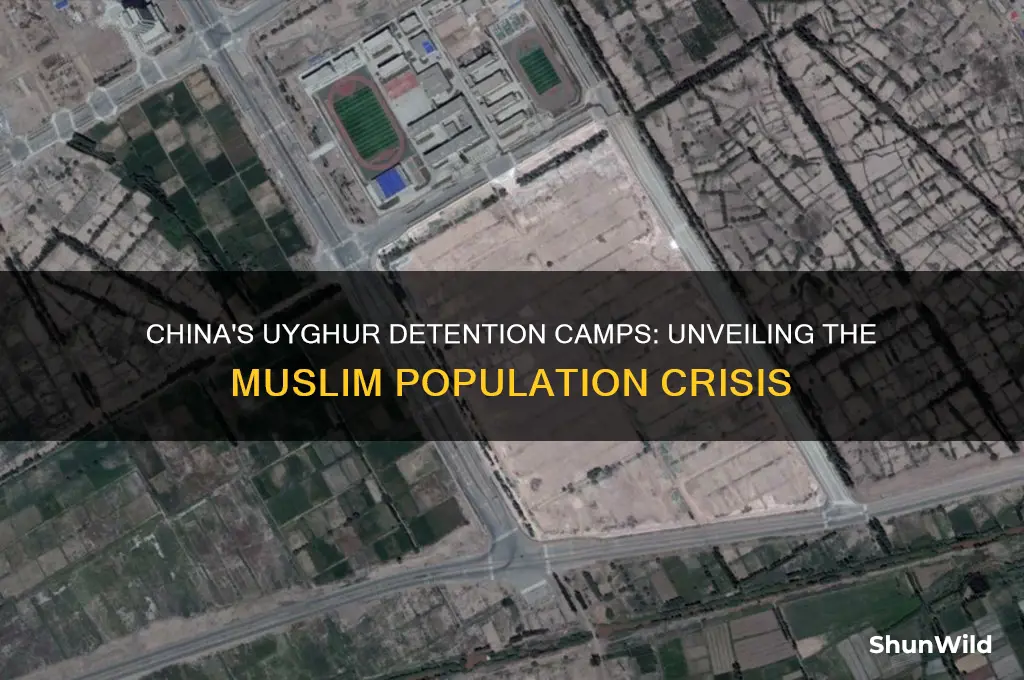 how many muslims are in china concentration camps