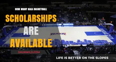NAIA Basketball Scholarships: How Many Are Available?