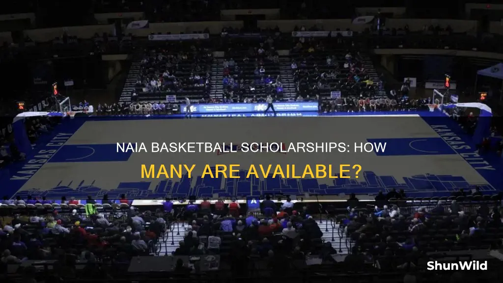 how many naia basketball scholarships are available