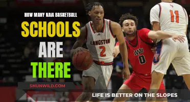 The Vast Landscape of NAIA Basketball: A School Overview
