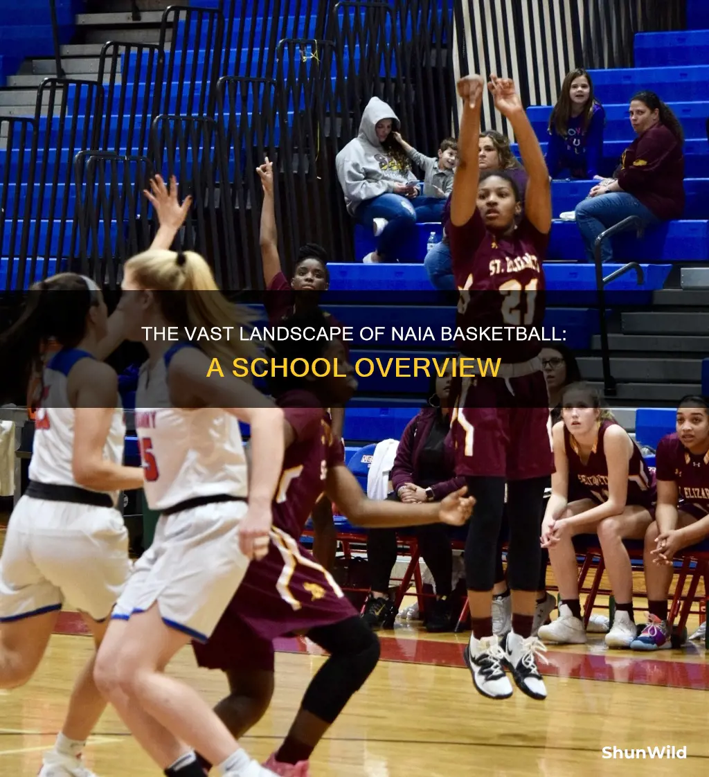 how many naia basketball schools are there
