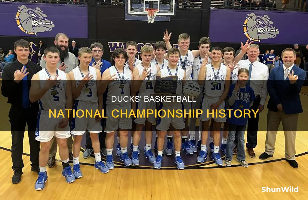 how many national championships does oregon have in basketball