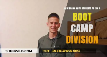 Understanding Navy Boot Camp Division Sizes: Recruit Numbers Explained