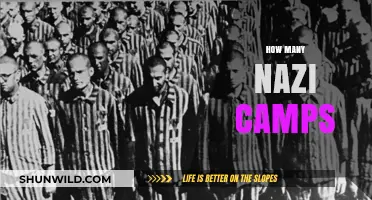 Uncovering the Dark History: Nazi Concentration Camps Count Explored