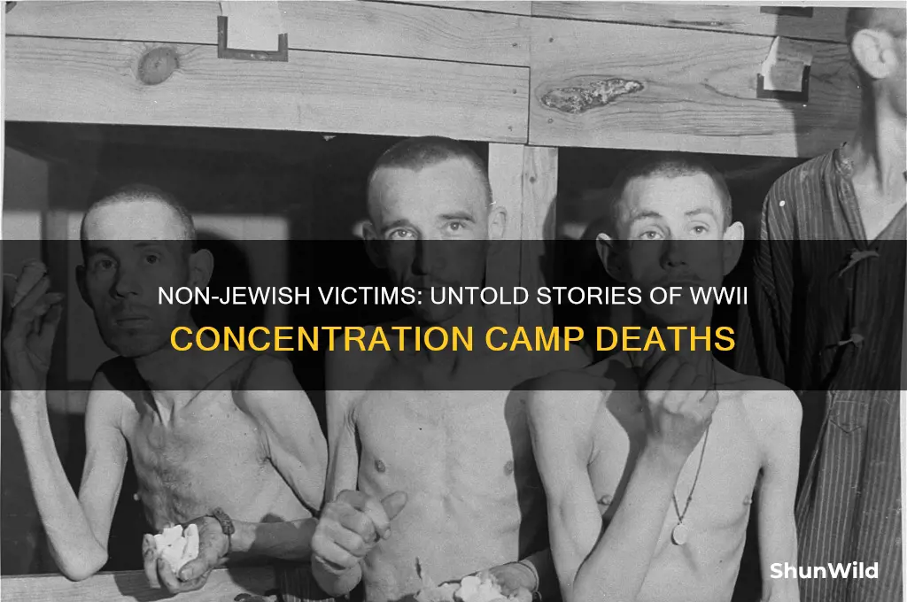 how many non jews died in concentration camps in ww2
