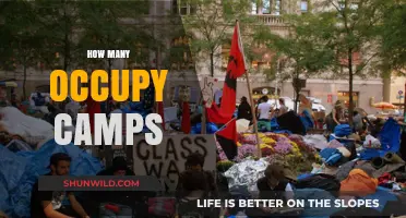 Occupy Movement's Global Reach: Counting Camps and Their Impact