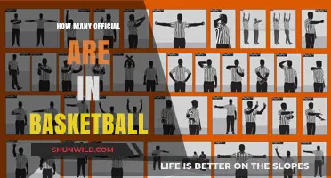 The Court's Watchful Eyes: Basketball's Official Count