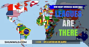 Exploring the Global Reach of Basketball: Leagues Worldwide