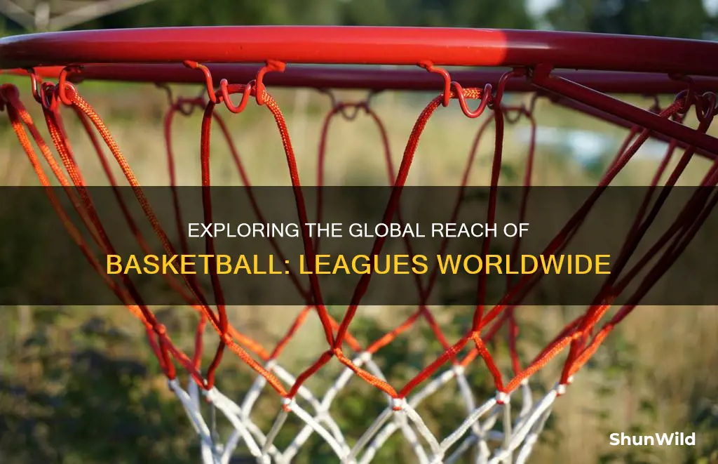 how many overseas basketball leagues are there