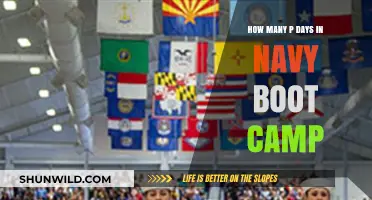 Understanding Physical Training Days in Navy Boot Camp: A Comprehensive Guide