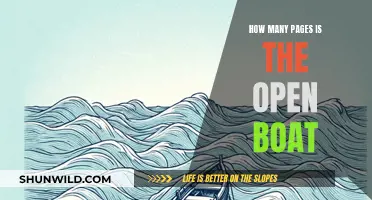 The Open Boat: A Concise, Intense, and Powerful Narrative